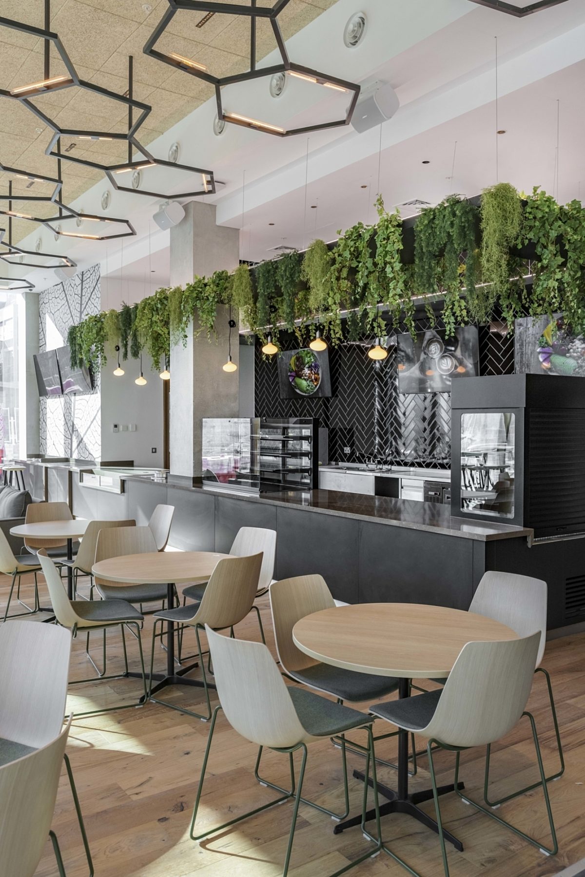 a place to eat, drink and meet in office fit out