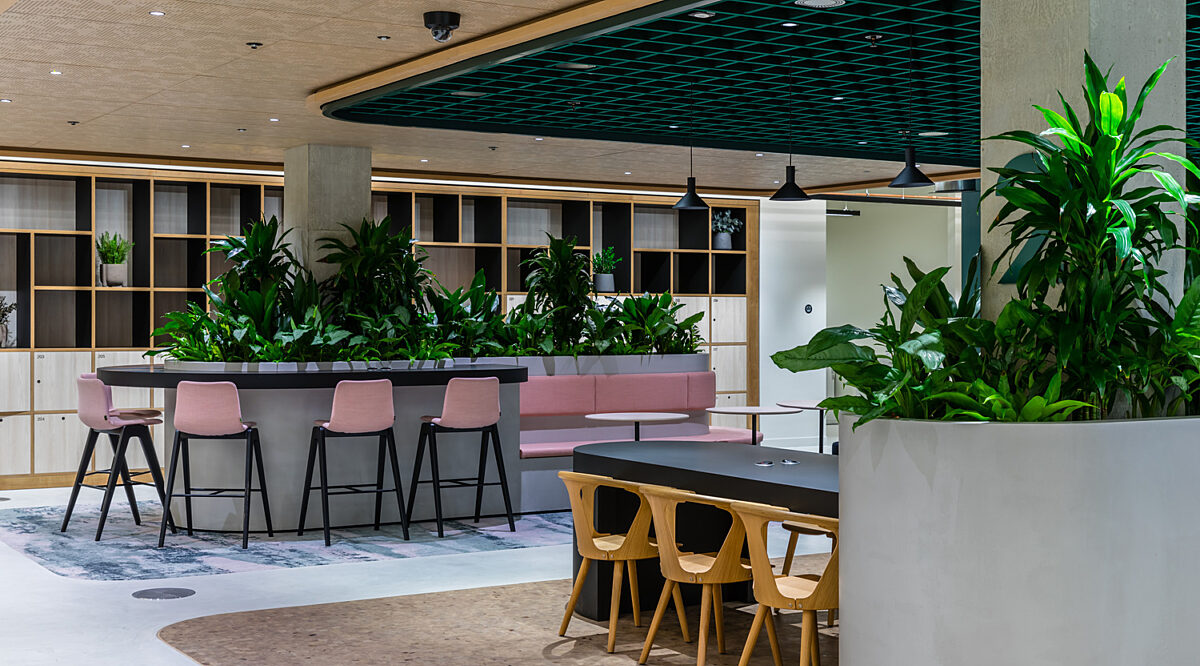 A spacious open plan office area with a central bar-style counter, pink bar stools, plenty of green plants, a long table with wooden chairs and built in shelves along the back wall