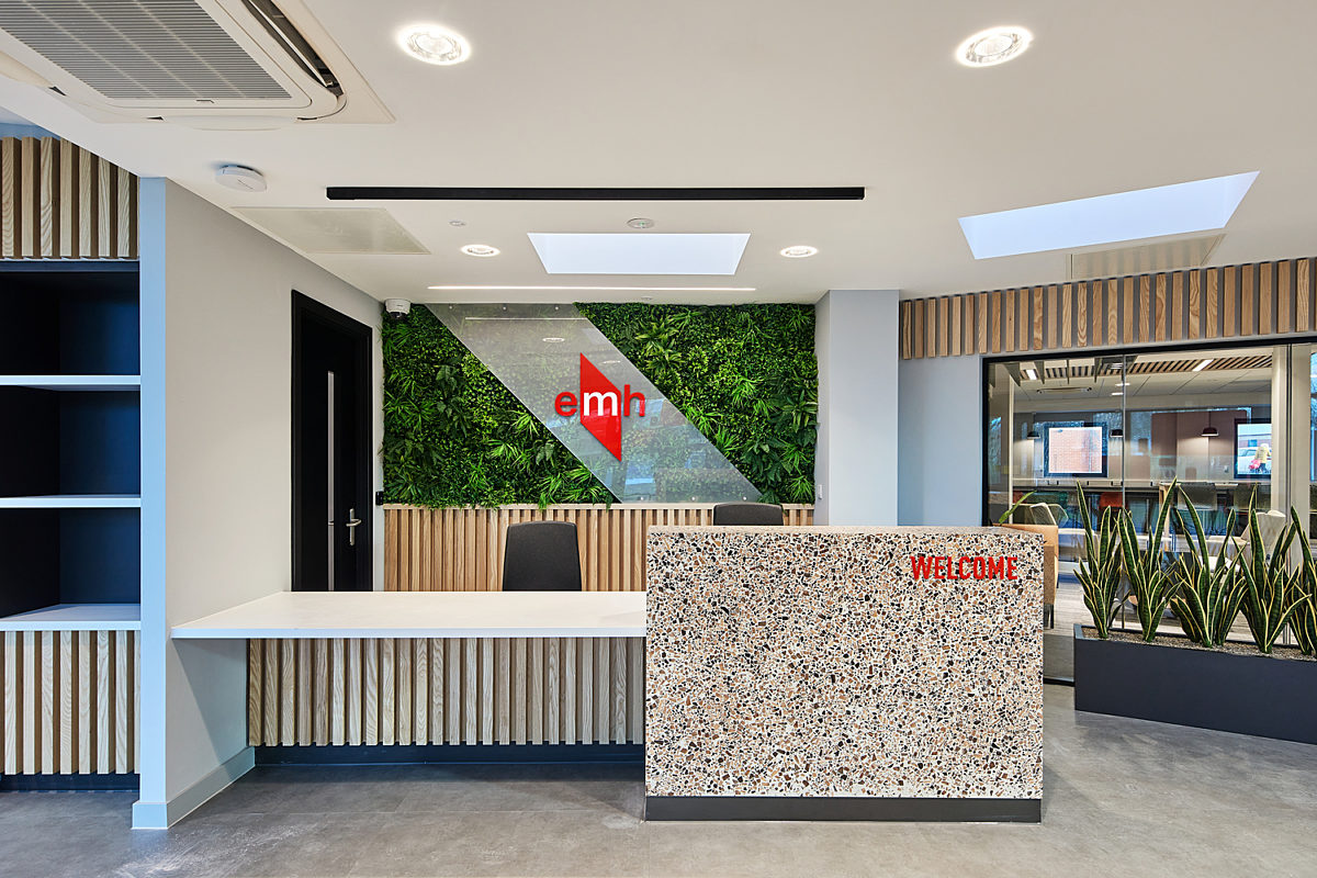 Living wall in emh reception fit out