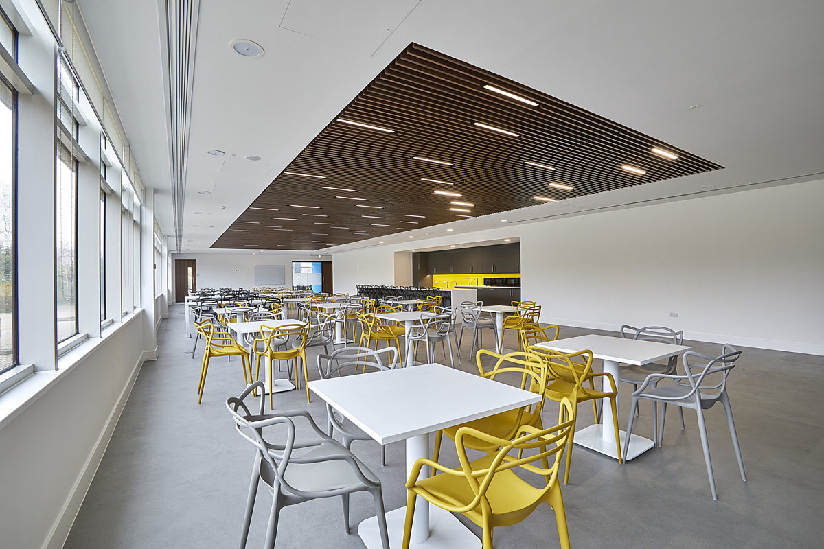 Staff dining area fit out with yellow and grey chairs