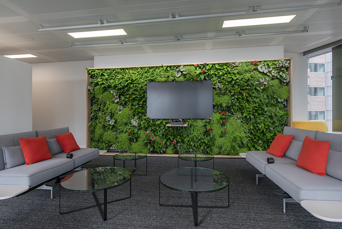 Living wall in low carbon office design
