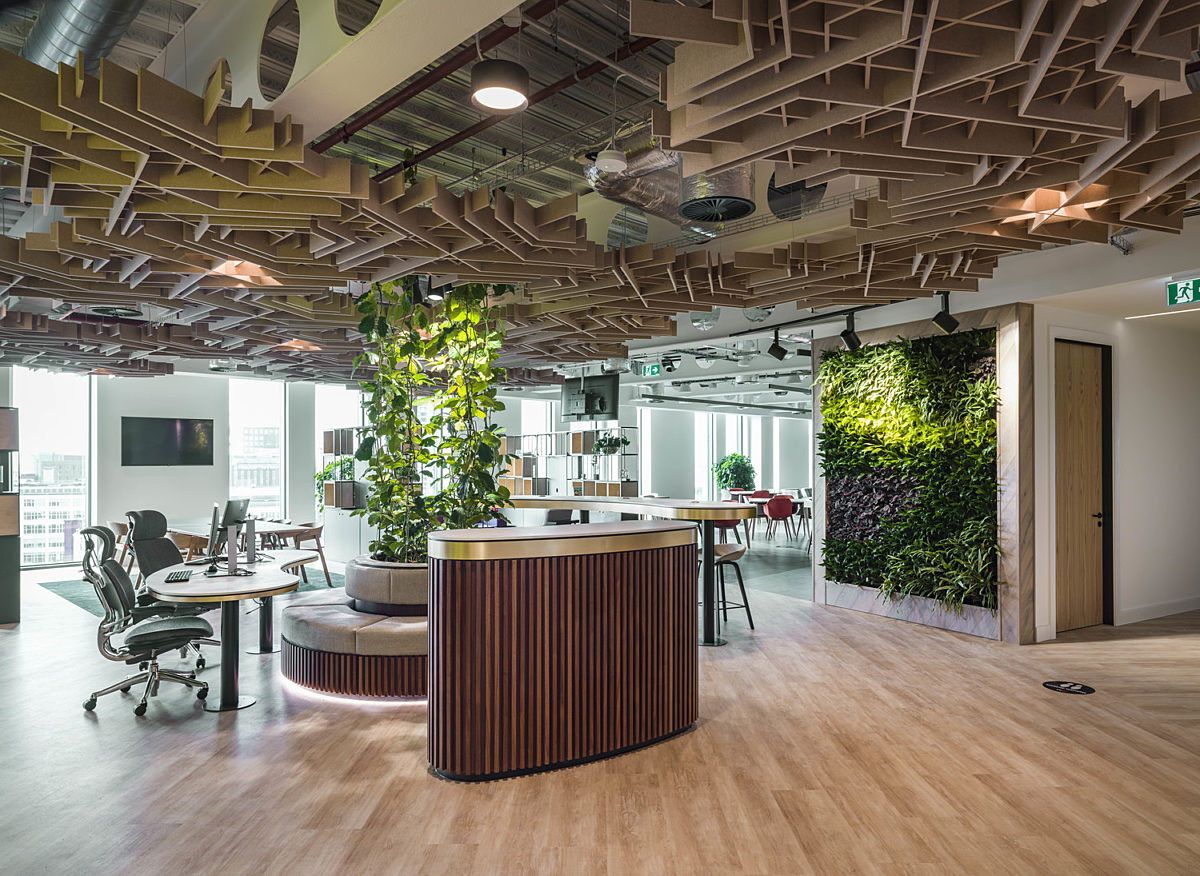 Natural wood and plants in office fit out