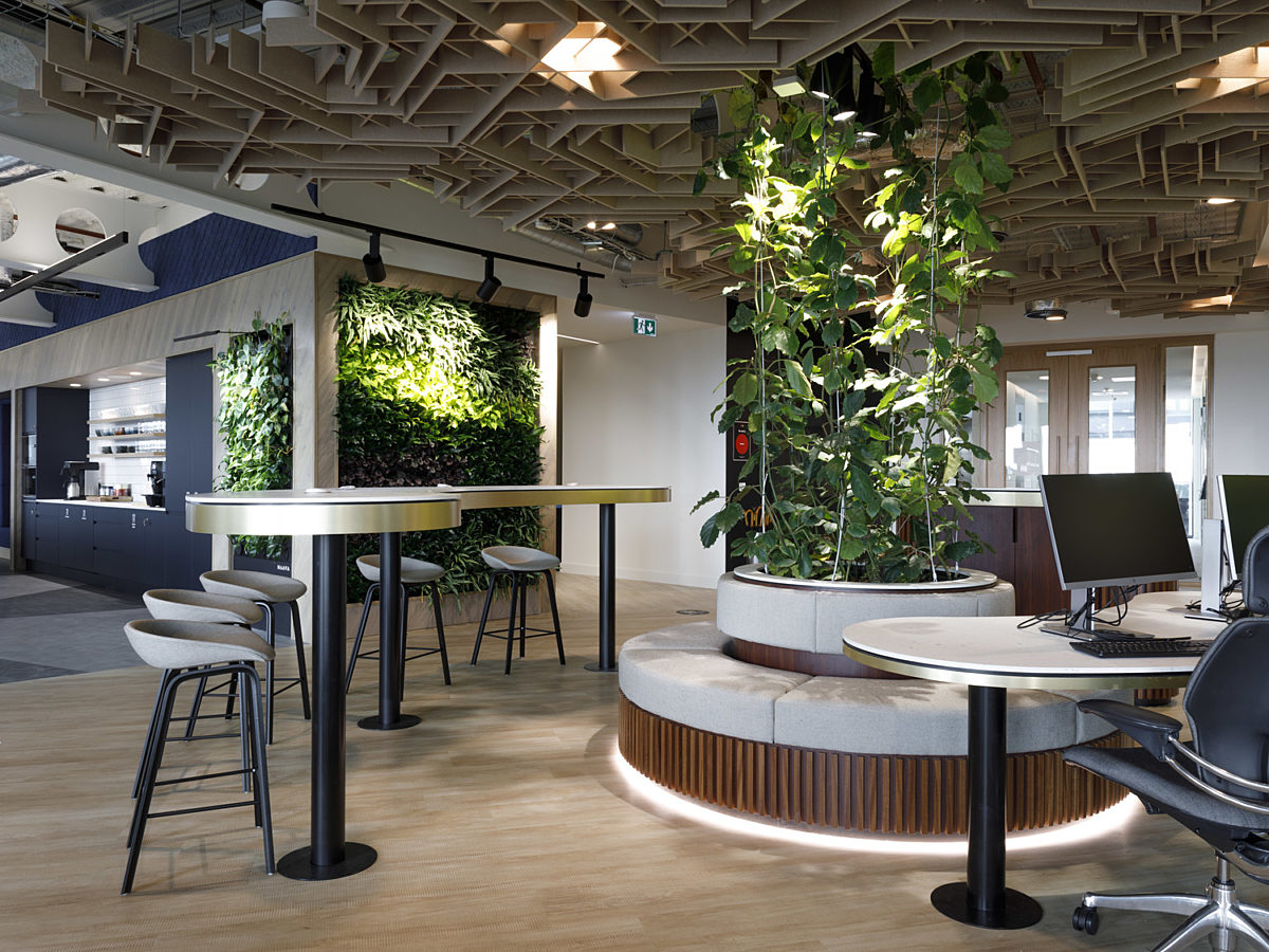Biophilia in low carbon fit out