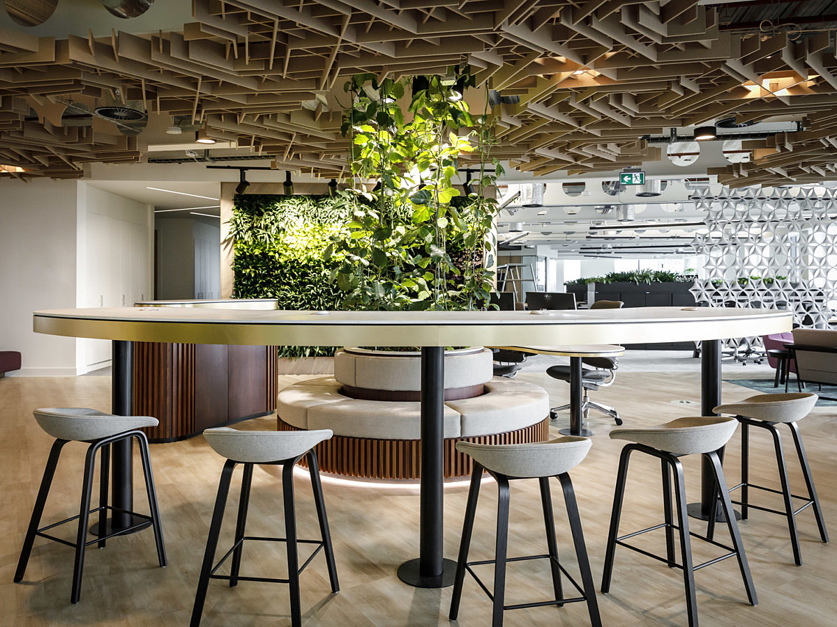 JLL office fit out for sustainability