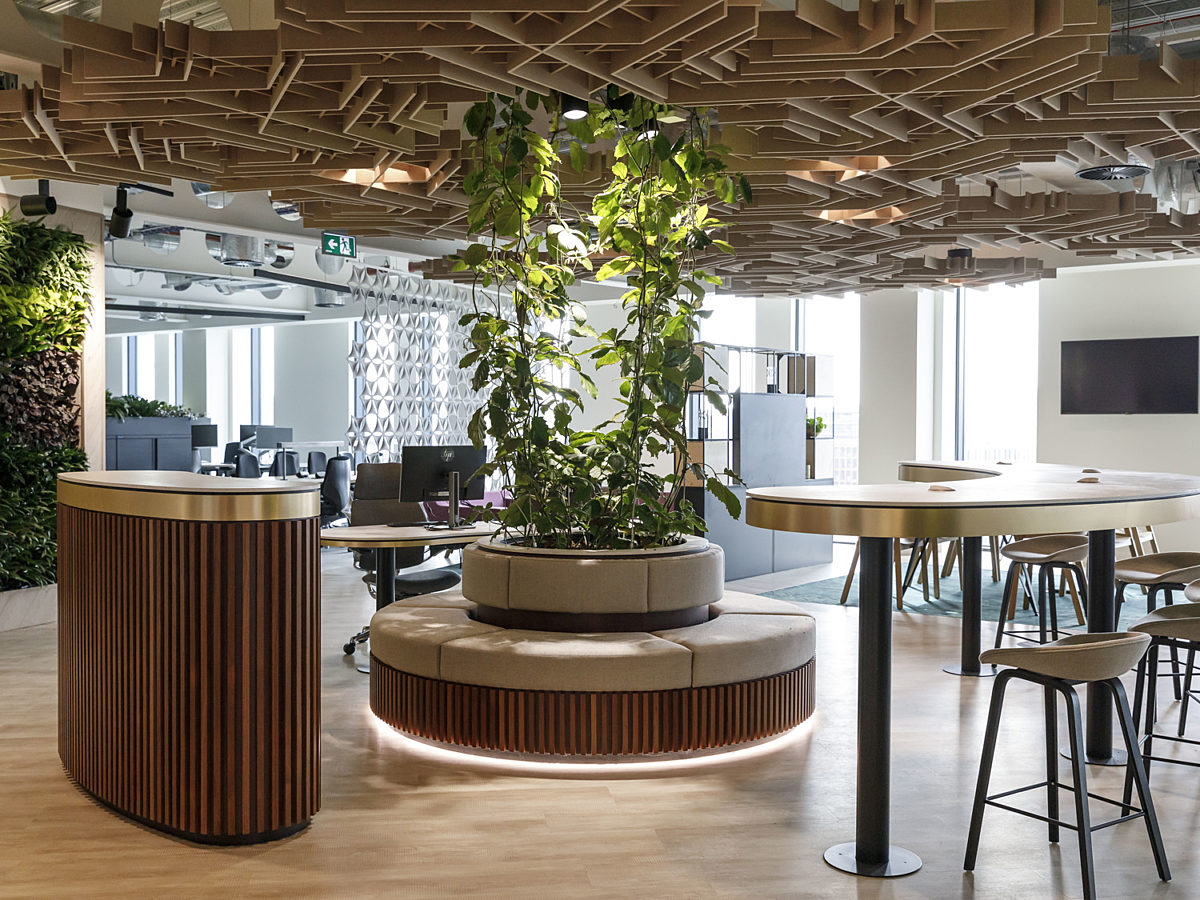 Biophilia and plants in office fit out