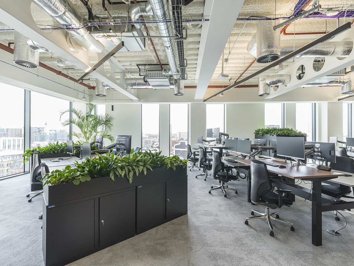 Plants and natural light in sustainable office fit out