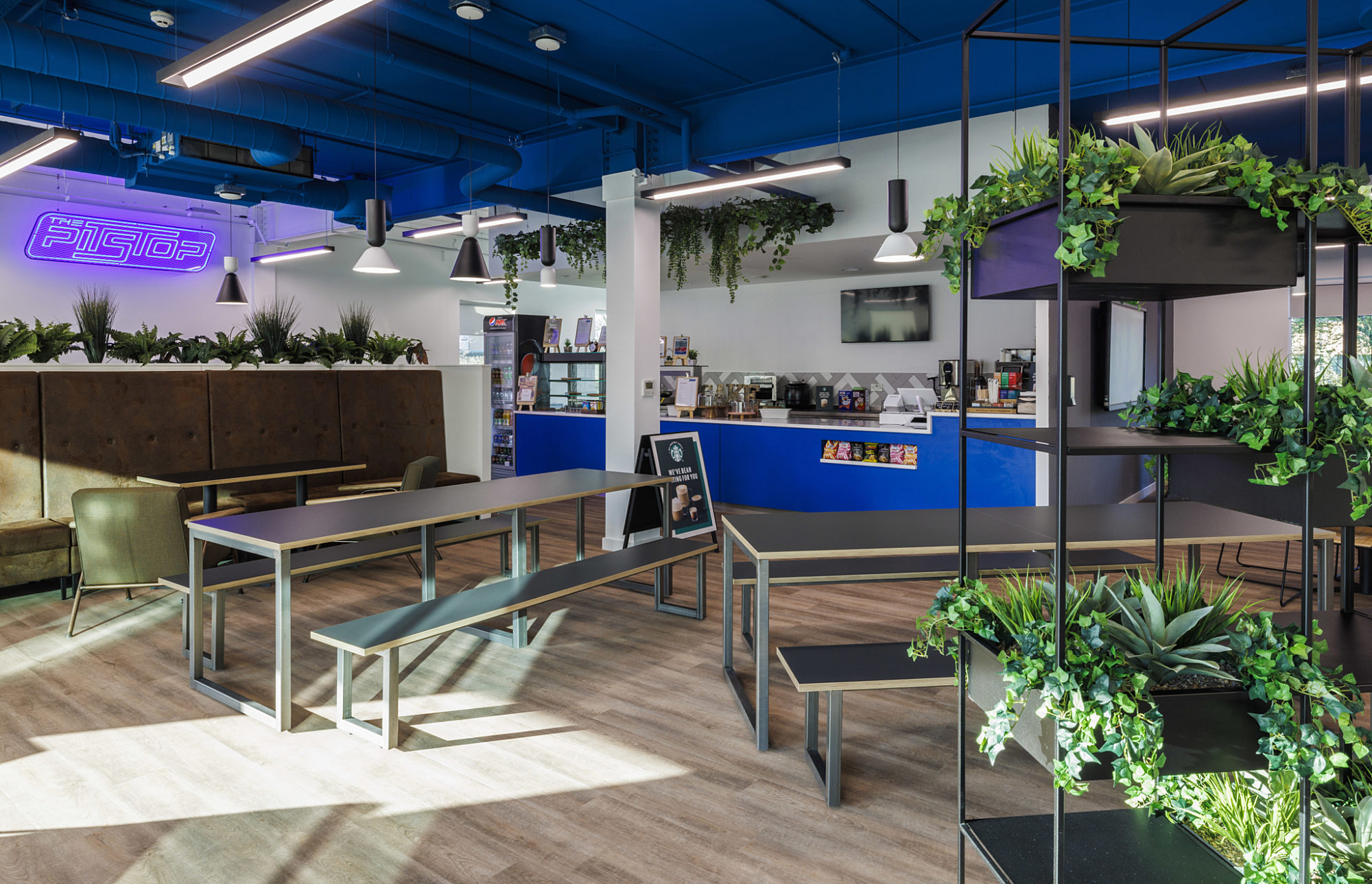 Plants and natural light brings biopilia to office fit out