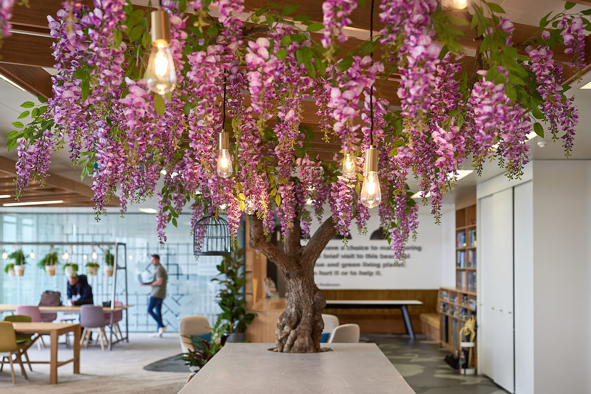 Beautiful tree in office fit out
