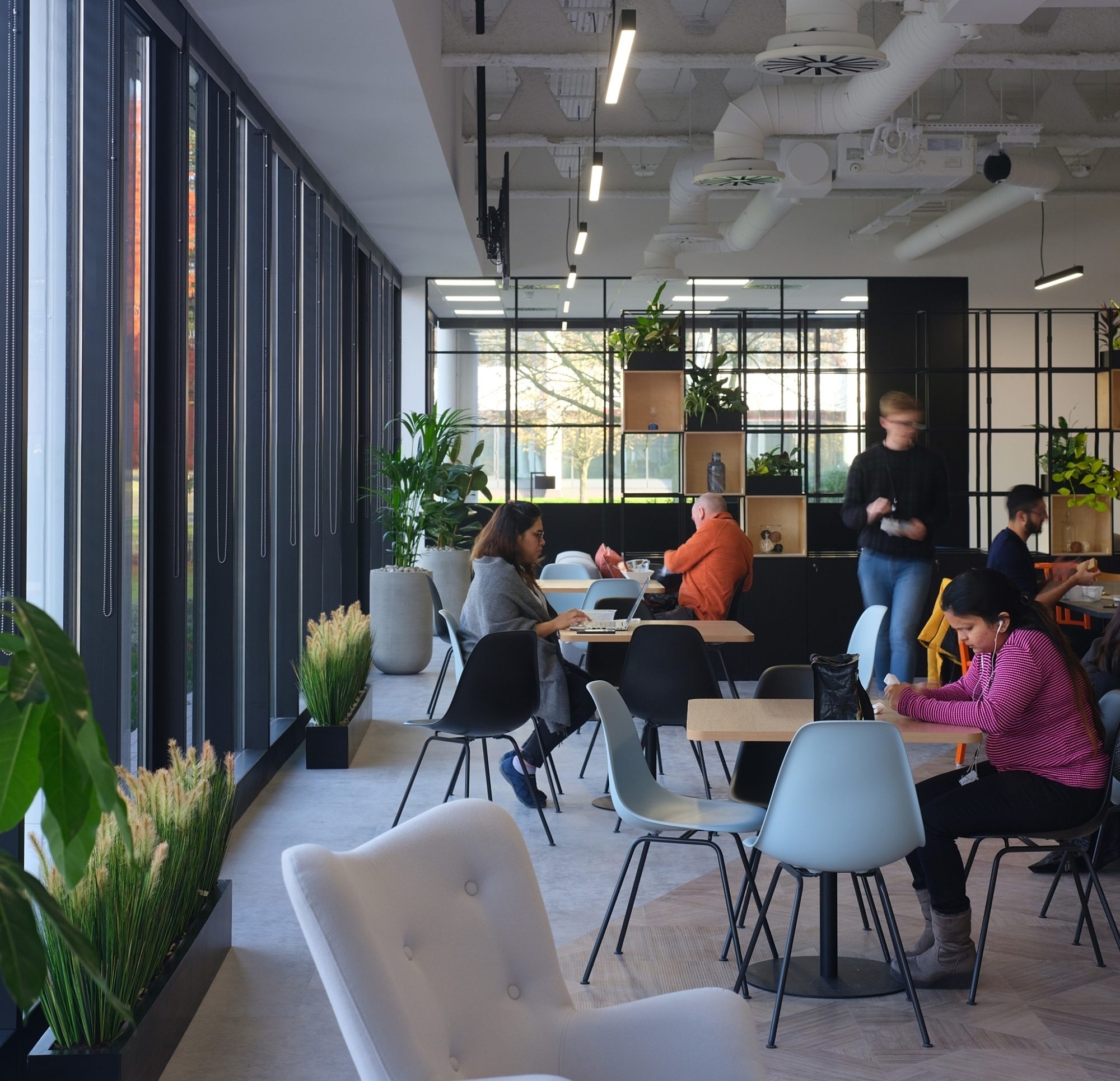 Healthy offices with flexible working, natural light and biophilia