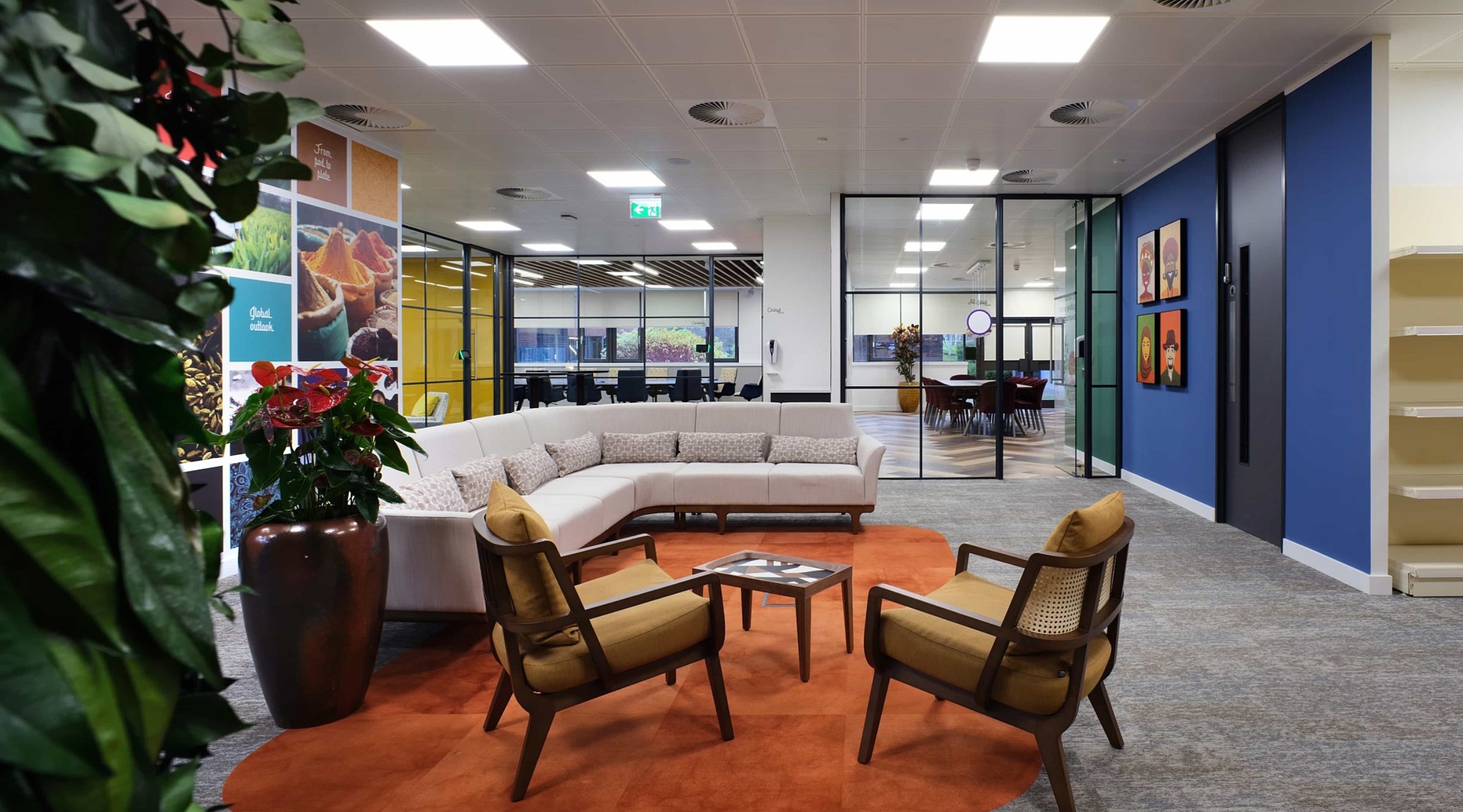 Vibrant Foods office design and fit out