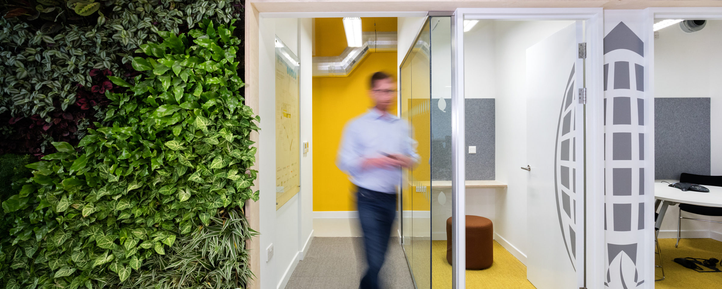 Sustainable biophilic office design