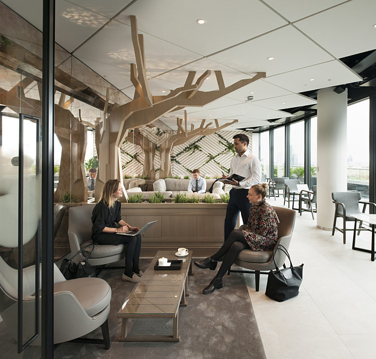 Deloitte office fit out with natural light and biophilia