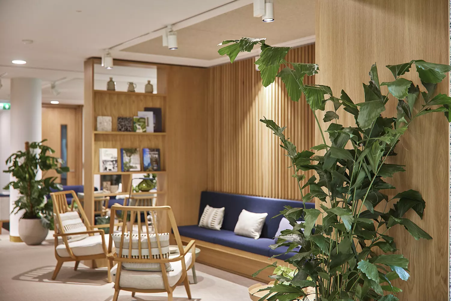 Natural materials in comfortable office environment