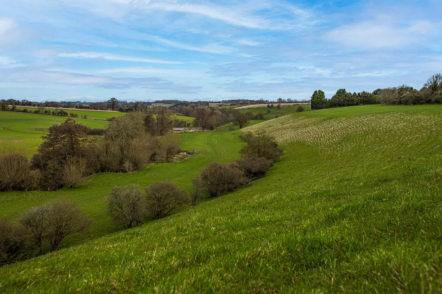Growing natural capital at Blenheim