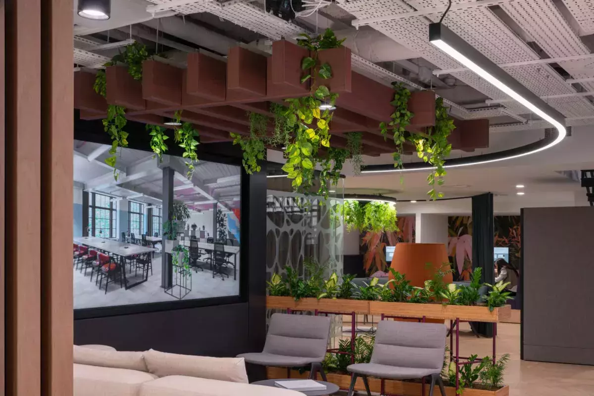 Biophilia in the Morgan Lovell office