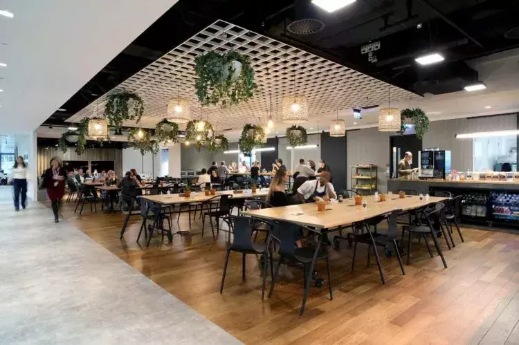 Office dining area with biophilia