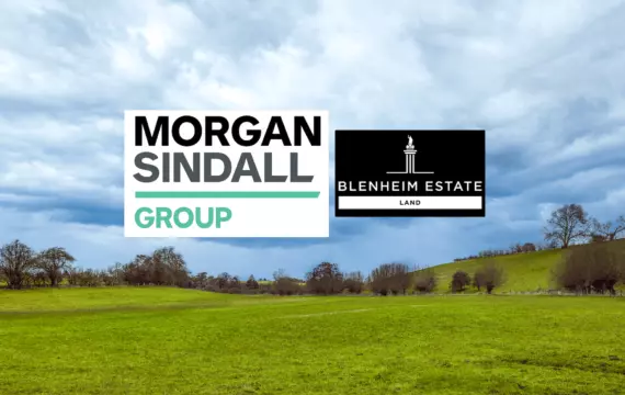 Morgan Lovell Growing natural capital at Blenheim