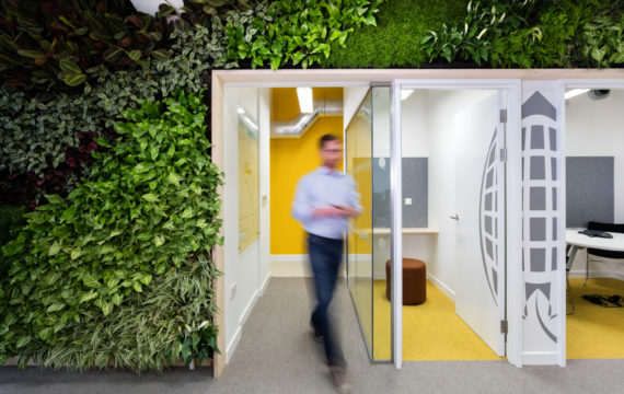 Sustainable office design with biophilia