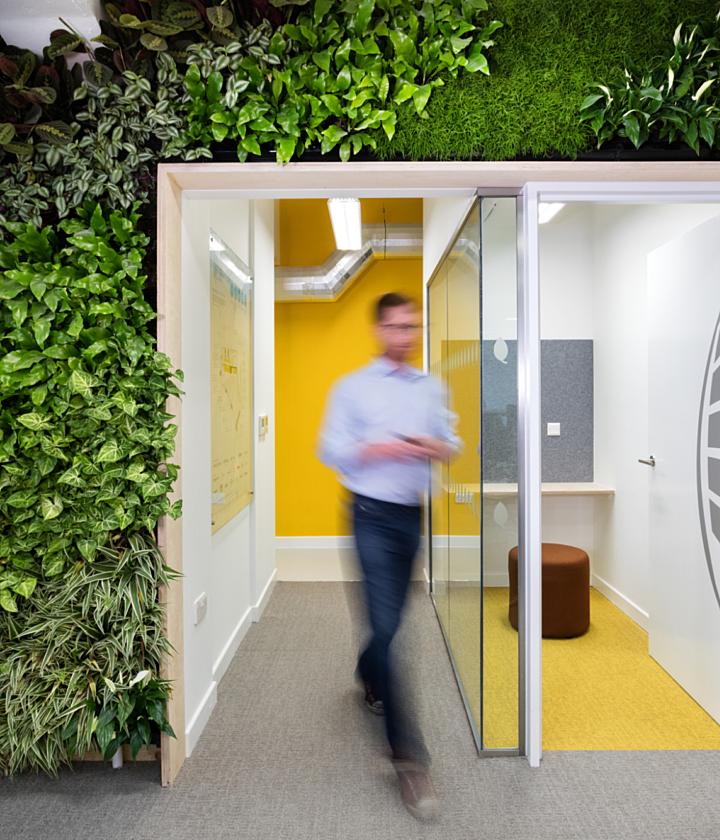 Sustainable office design with biophilia