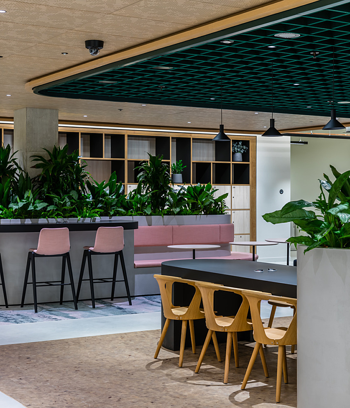 A spacious open plan office area with a central bar-style counter, pink bar stools, plenty of green plants, a long table with wooden chairs and built in shelves along the back wall