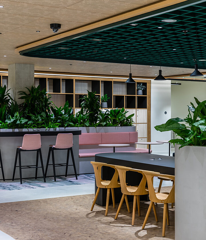 A spacious open plan office area with a central bar-style counter, pink bar stools, plenty of green plants, a long table with wooden chairs and built in shelves along the back wall