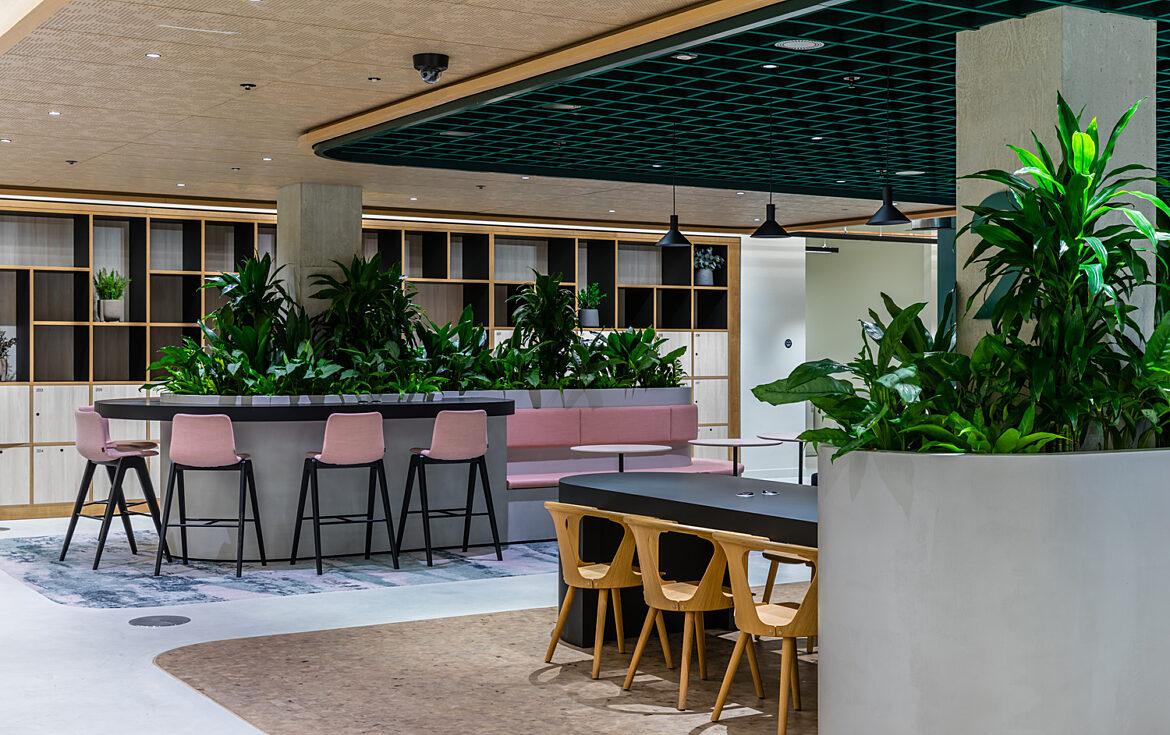 A spacious open plan office area with a central bar-style counter, pink bar stools, plenty of green plants, a long table with wooden chairs and built in shelves along the back wall