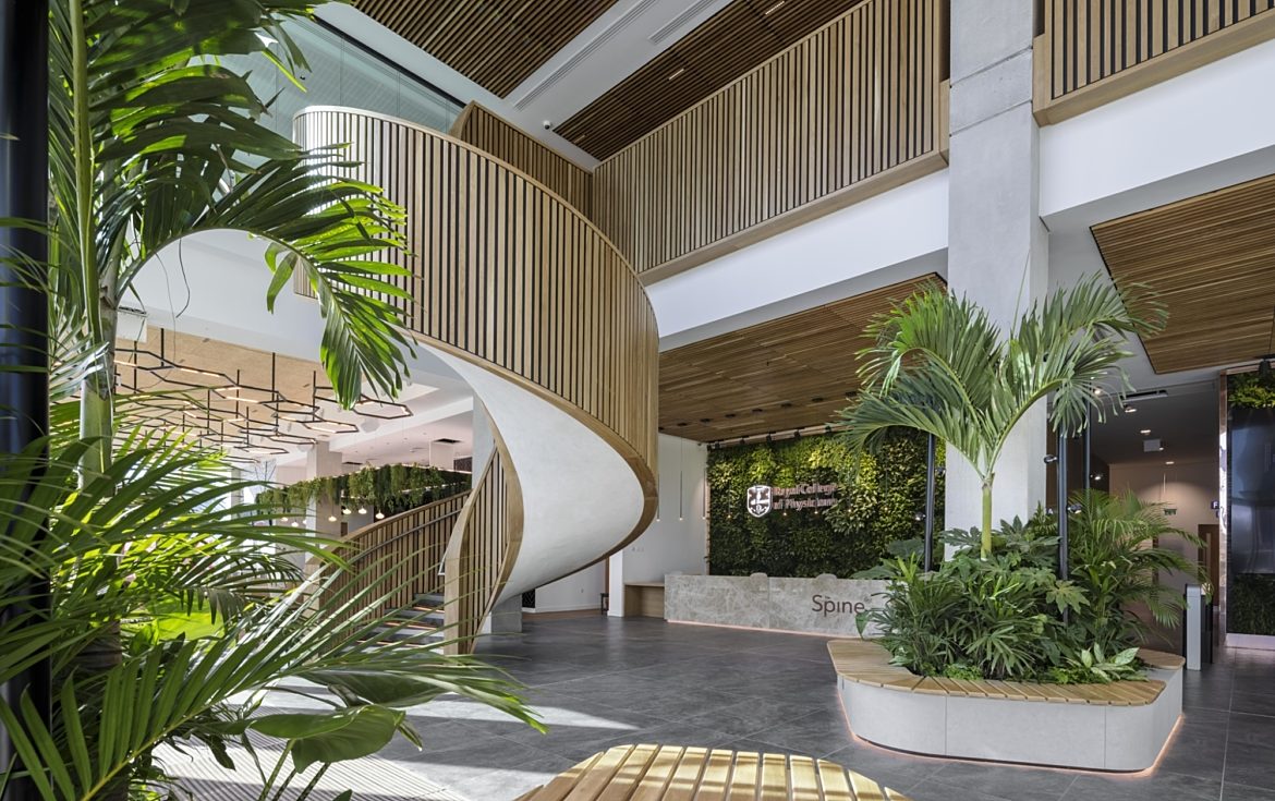 Timber and planting in well lit atrium