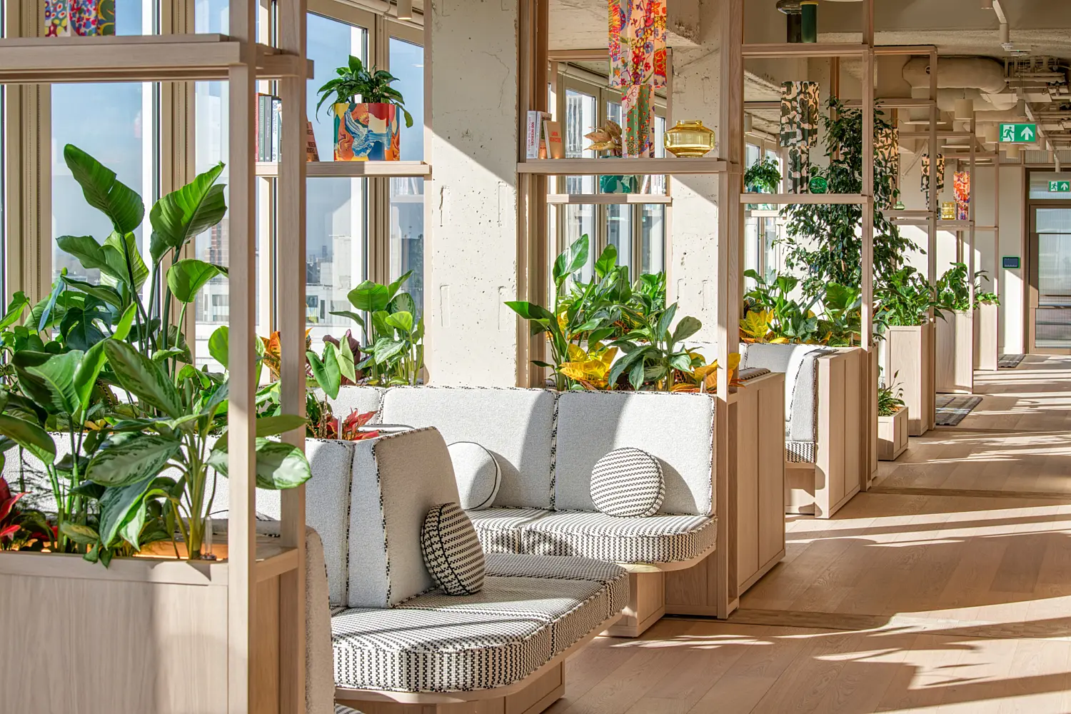Bright office breakout area with built-in upholstered booth seating set between large windows and light wood shelving filled with lush green plants and decorative objects. Natural daylight streams across the timber flooring, creating strong shadows along a spacious corridor. Open shelving frames views through the space, while planters, books and colourful accessories add warmth and texture to the contemporary workplace interior.