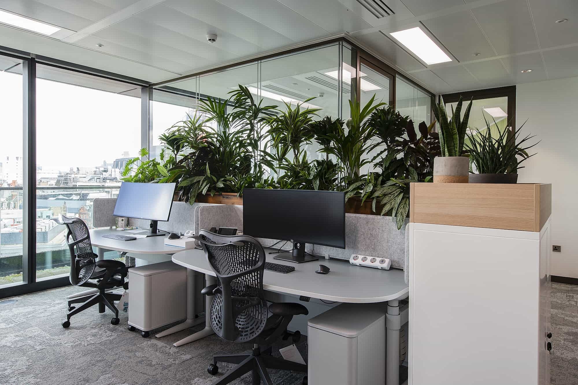 Generation IM desks and biophilic office design