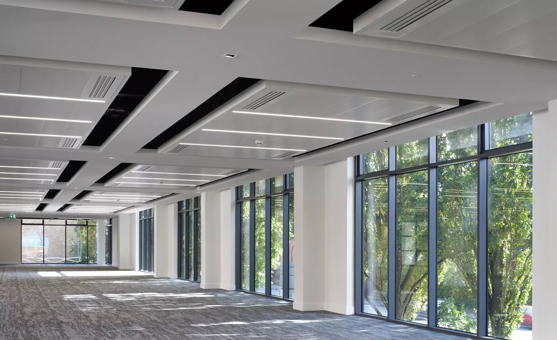 Cat a office design
