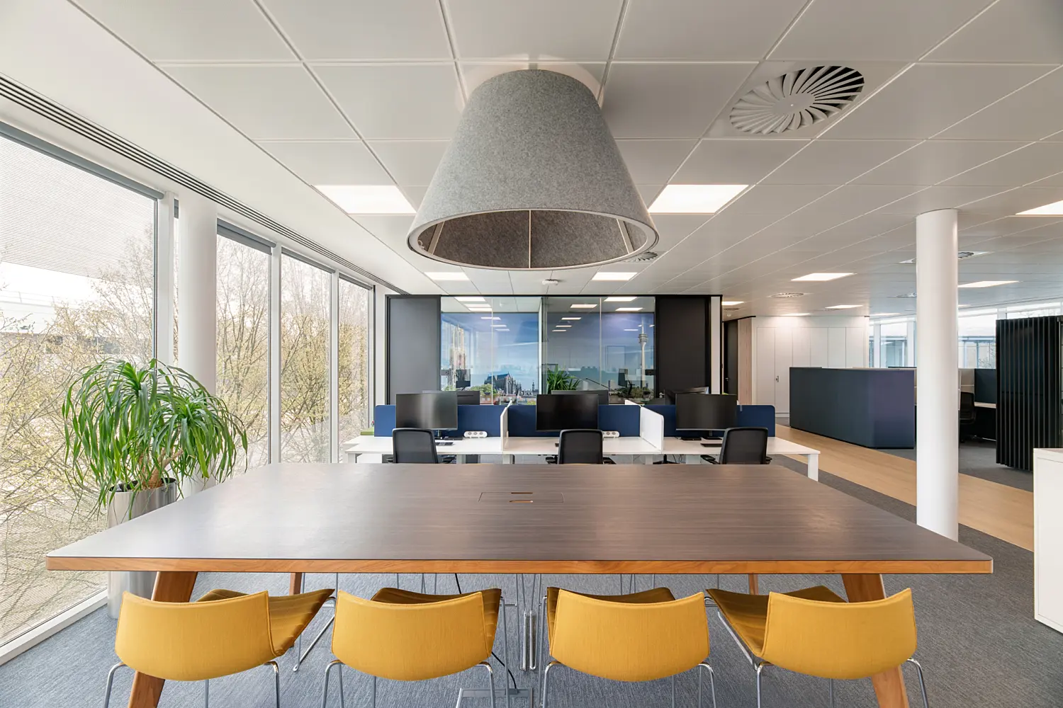 Contemporary open-plan office workspace with a large dark wood collaboration table surrounded by mustard-coloured chairs. A grey acoustic pendant light hangs above the table, while floor-to-ceiling windows along the left side provide natural daylight and views of trees outside. Beyond the meeting area, desks with computer monitors sit within the main workspace, featuring blue privacy screens, light wood flooring and modern finishes throughout. Indoor plants, white structural columns and glazed meeting rooms contribute to the bright, professional environment.