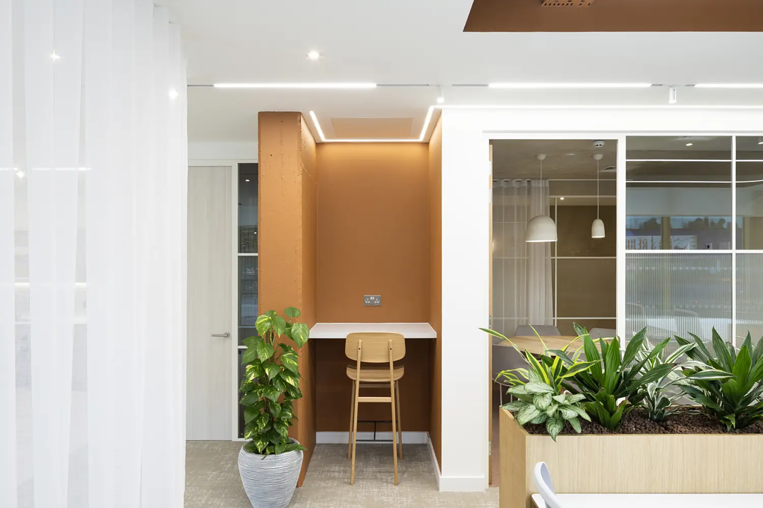 Close-up view of a contemporary office breakout area with warm, neutral design elements. At the centre, a compact built-in desk sits against a terracotta-coloured wall niche, paired with a single light wood high stool. Soft LED strip lighting outlines the niche and ceiling, creating a subtle glow. To the left, sheer white floor-to-ceiling curtains filter natural light from nearby windows. In the foreground on the right, a large rectangular planter filled with green foliage partially divides the space. Another potted plant in a grey container stands to the left of the desk. On the right side, a glass-partitioned meeting room with a sliding door is visible, showing a table and pendant lights inside. The overall setting feels bright and calm, combining white surfaces, warm wood and greenery.