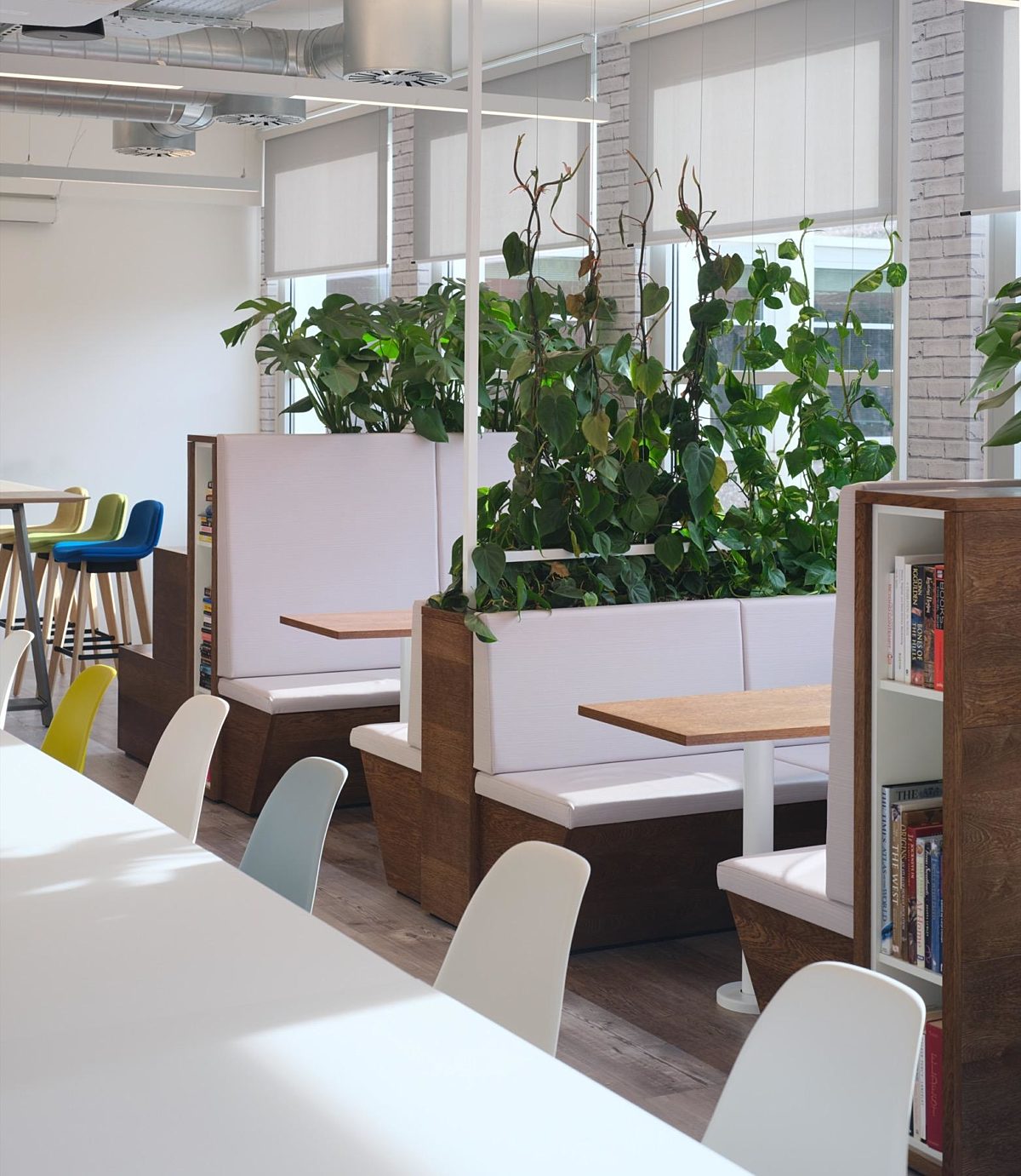 Sage biophilia in the workplace