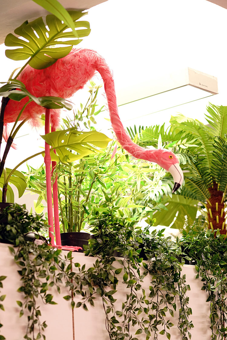 Virgin pink flamingo and plants hallways