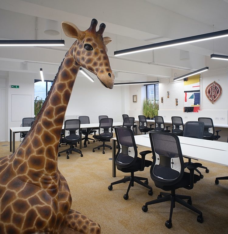 Giraffe in Virgin open plan agile workspace