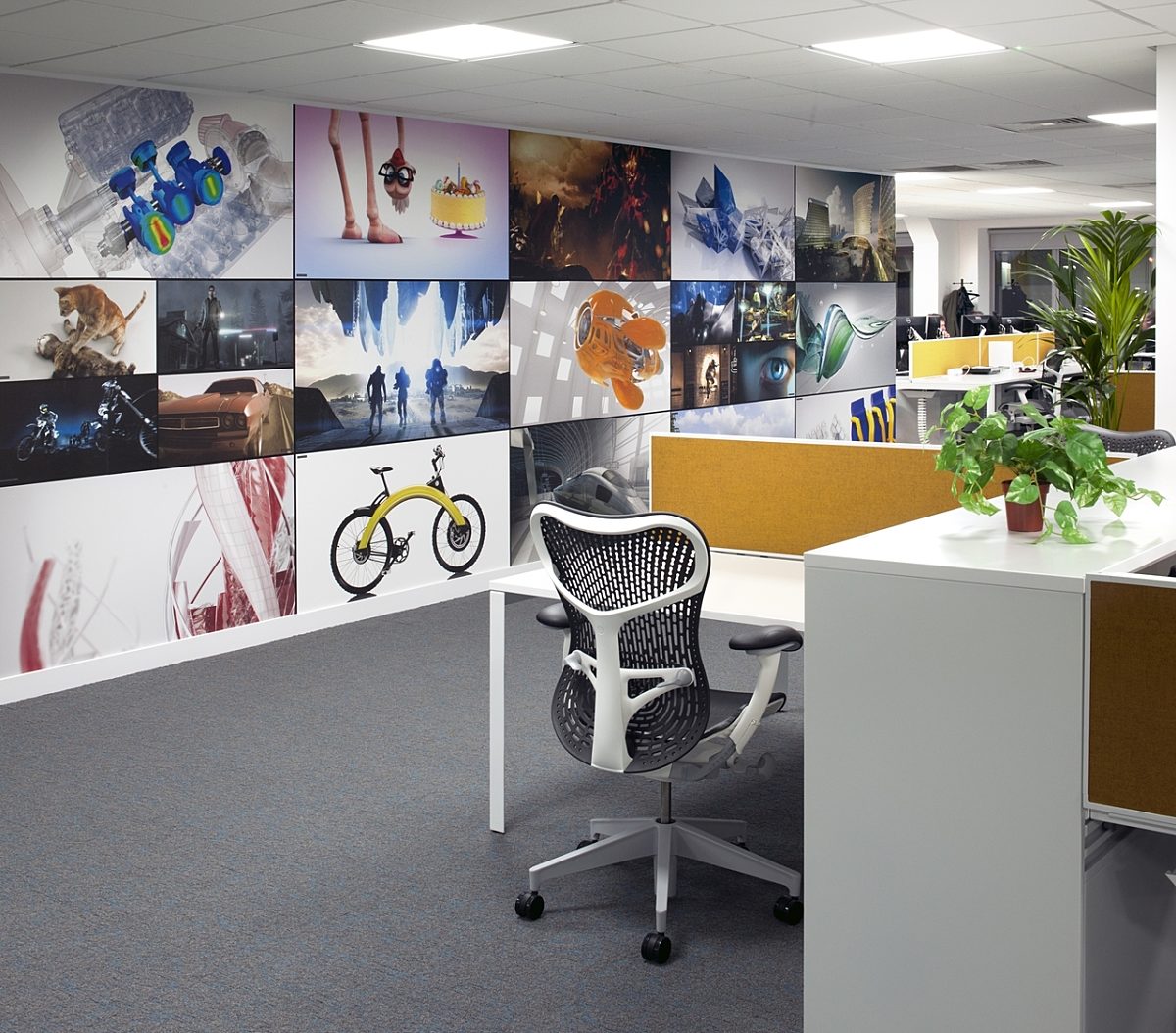 Autodesk organised workplace