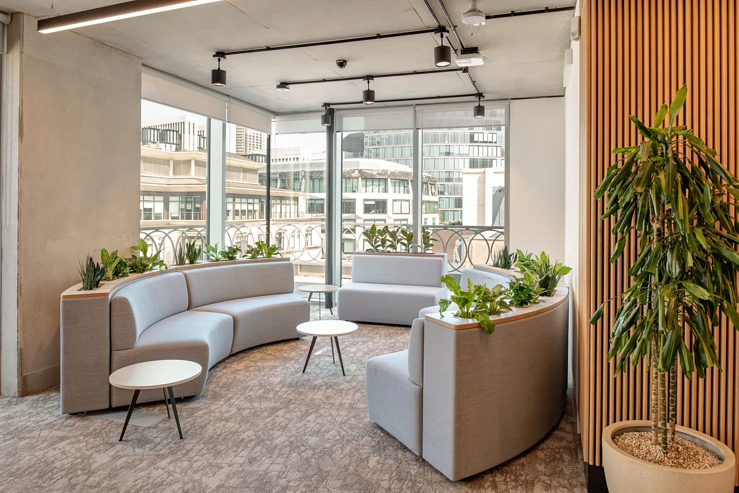 Informal office seating area beside floor-to-ceiling windows, with curved grey sofas arranged around small round tables. Integrated planters filled with greenery divide the seating, while a tall potted plant stands beside a timber slatted wall. Exposed concrete ceilings, columns and black lighting fixtures contrast with the soft grey carpet and furnishings. City buildings are visible through the windows.