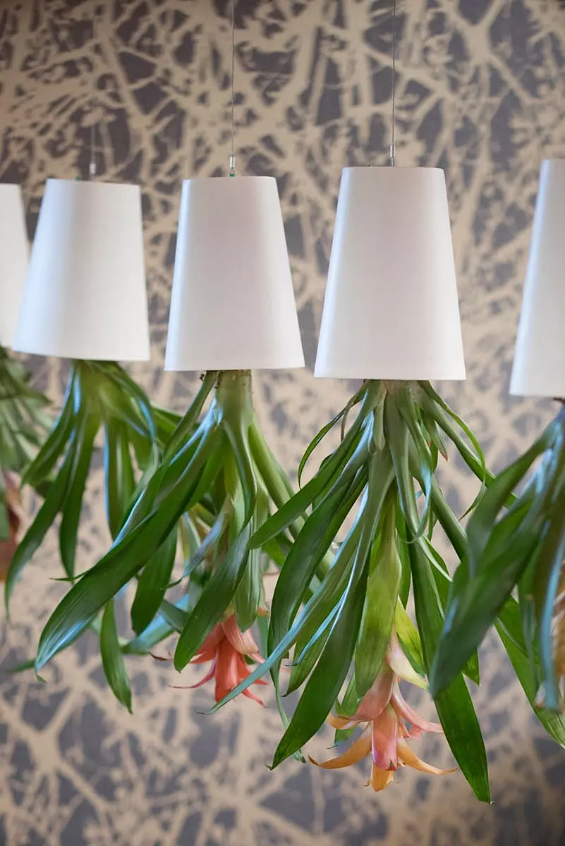 Morgan Lovell biophilic design workspace