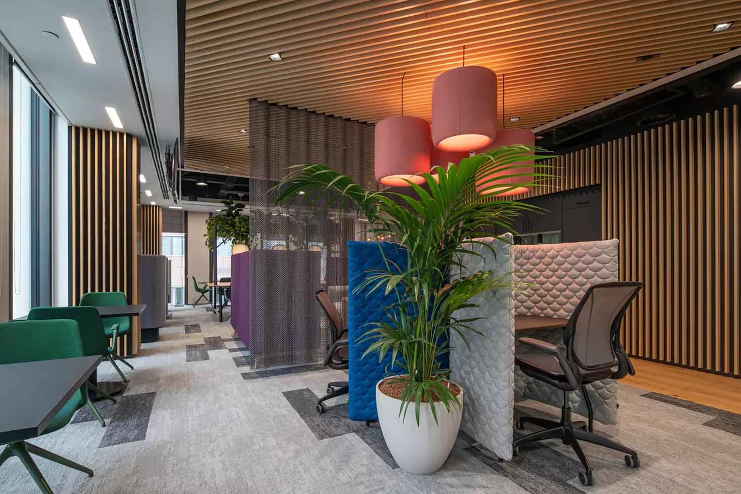 An office space featuring multiple workstations divided by partitions. Three large pink pendant lights hang from the ceiling, adding a bold visual element. The flooring combines wood and carpet, while vertical wooden slats line sections of the walls. A large potted plant adds greenery near one of the desks. Natural light enters through windows on the left, contributing to the bright and inviting atmosphere.