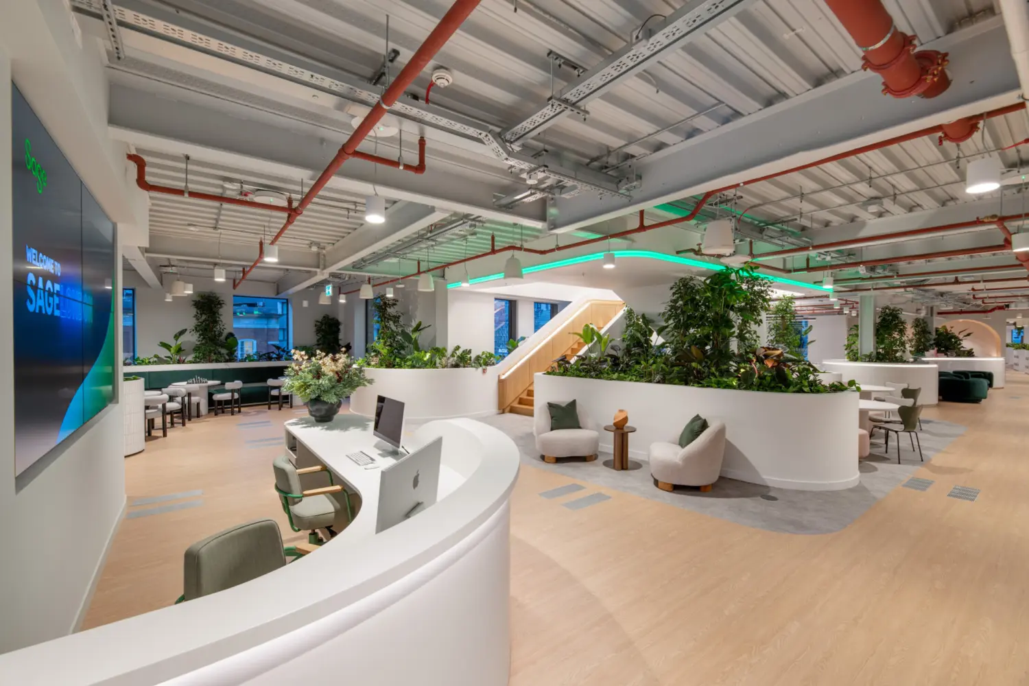 A bright, contemporary workspace with white curved desks, light wood flooring and abundant planting. A large wall screen sits on the left, while a central staircase with timber treads rises behind planted partitions. Lounge chairs, workstations and tables are arranged throughout the open area. Exposed ceiling services and soft integrated lighting complete the modern office setting.