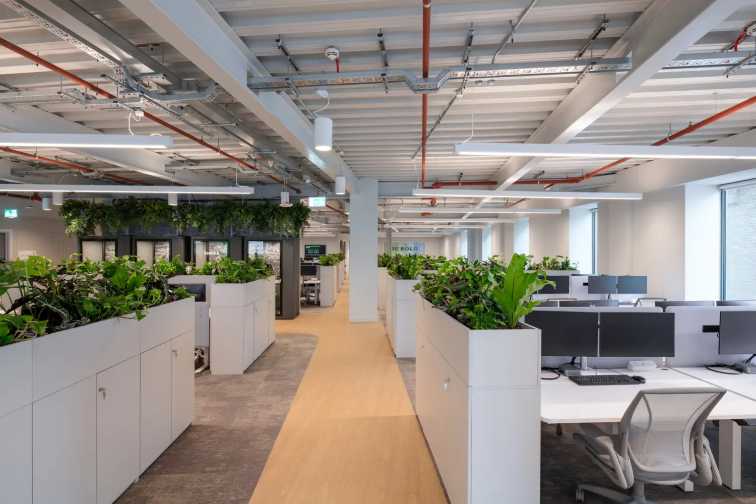 An open plan office with rows of workstations arranged on either side of a light wood walkway. White storage units topped with dense planting divide the desk areas. Exposed ceiling services run across the space, and large windows on the right bring in natural light. Neutral finishes and greenery create a clean, modern workspace.