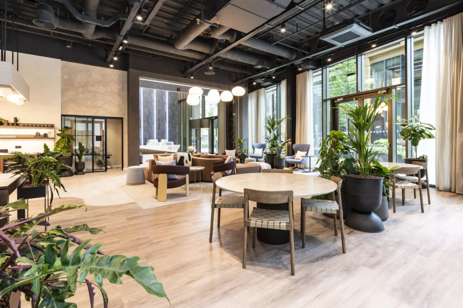 Open plan office lounge and collaboration space with round wooden tables, woven chairs and large potted plants creating a biophilic design. The area features modular seating, soft armchairs, and pendant lighting under an exposed black ceiling for an industrial look. Floor to-ceiling windows bring in natural light, complemented by light wood flooring and neutral tones for a warm, inviting atmosphere ideal for informal meetings and social interaction.