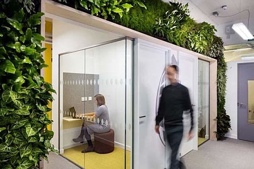 Modern office with biophilia and solo workspaces