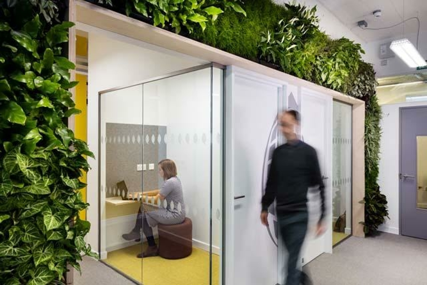 Modern office with biophilia and solo workspaces