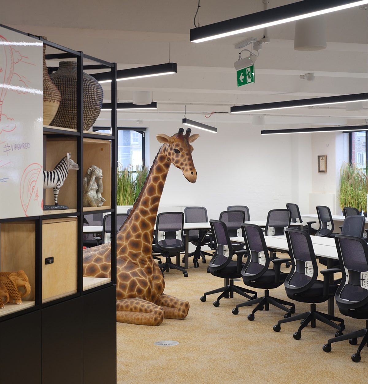 Virgin giraffe in open plan office