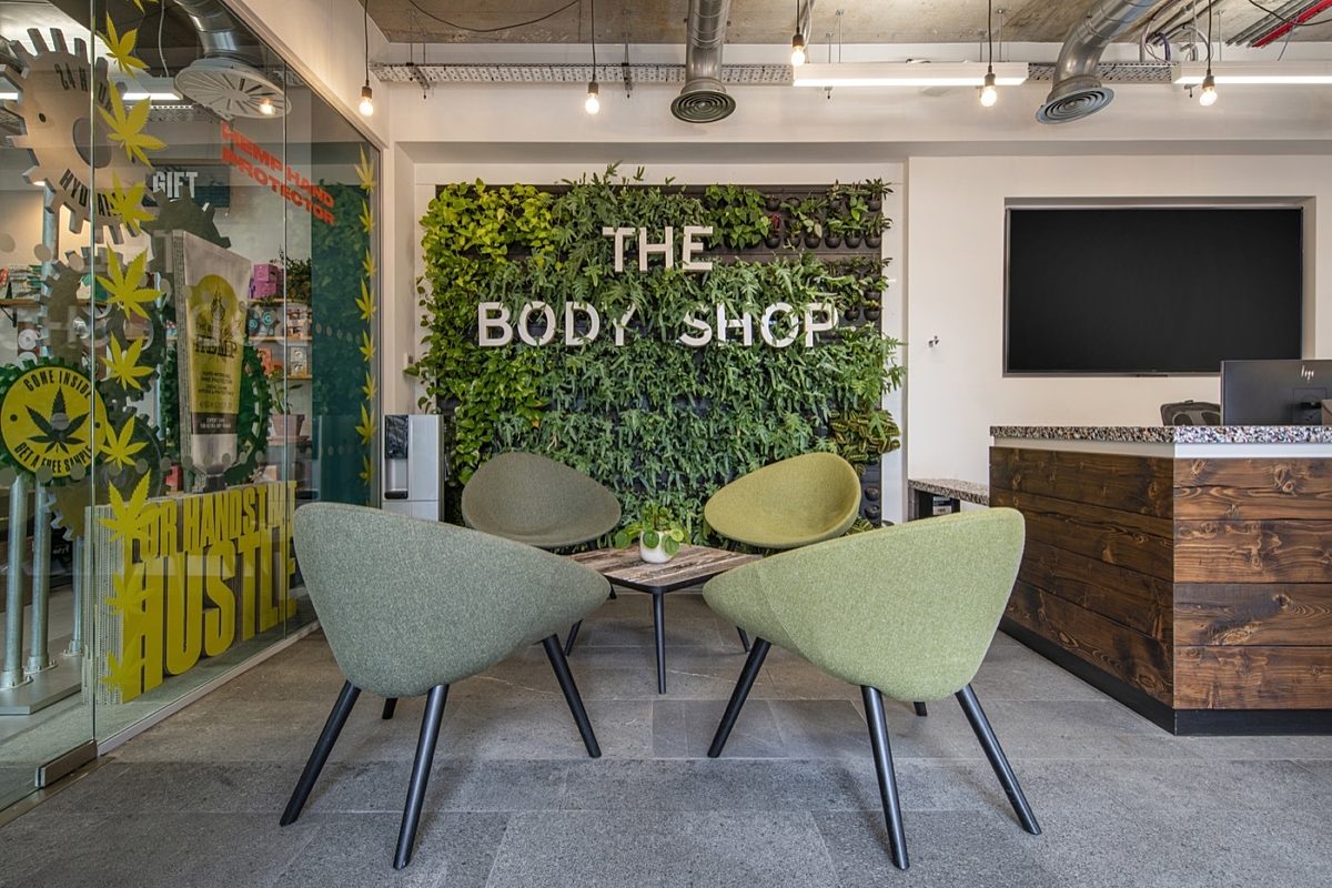 Body Shop living wall in office reception