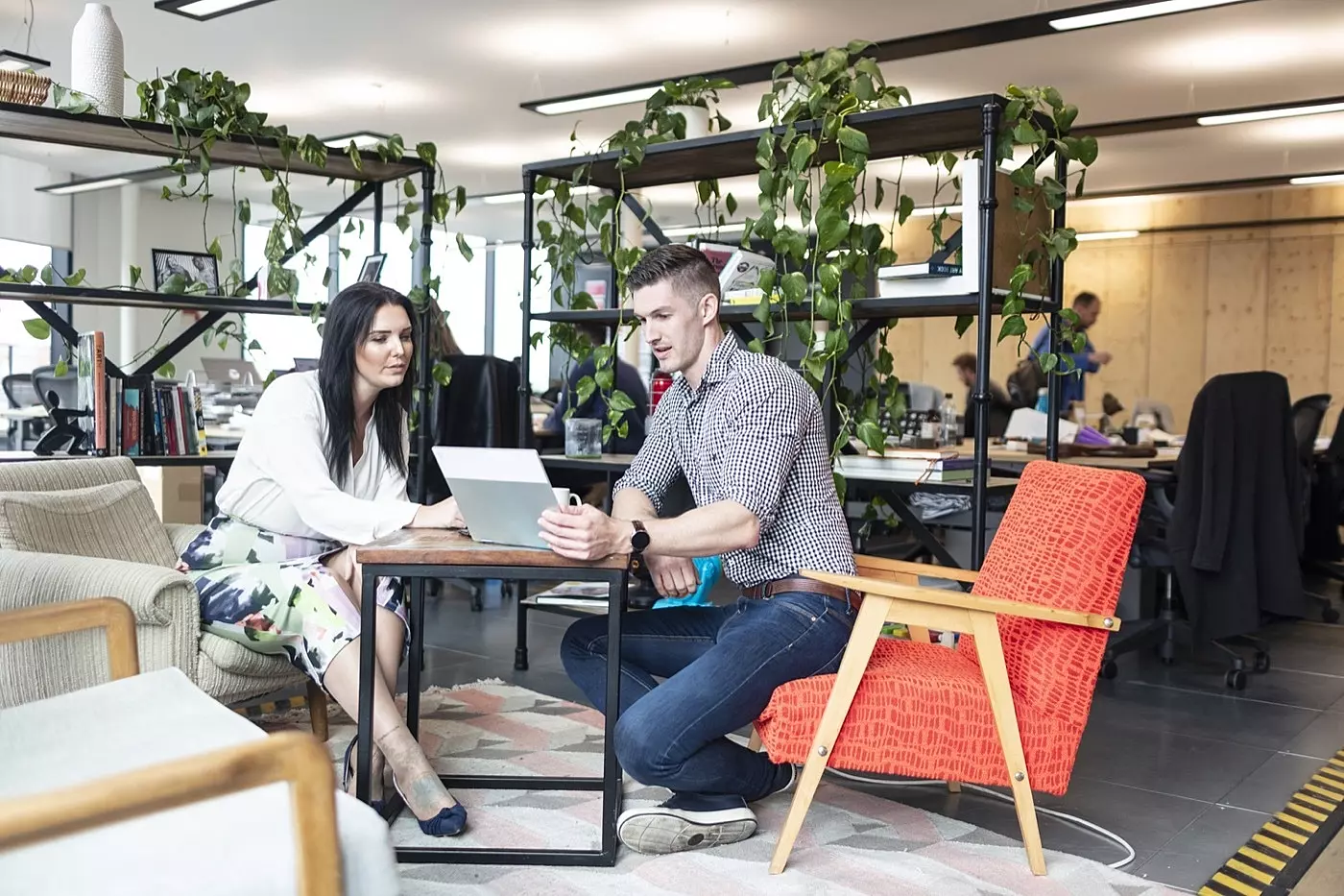 Anomaly's biophilic breakout area